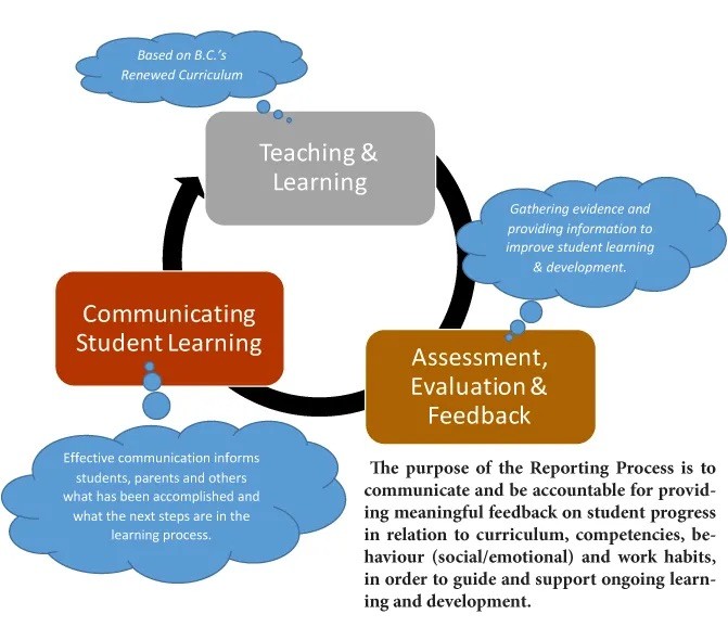 graph for curric assess