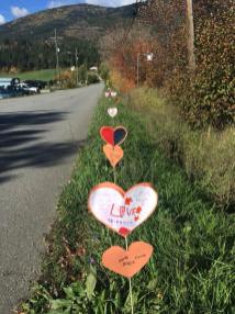 42939543_10155960031978590_4901177439926878208_n